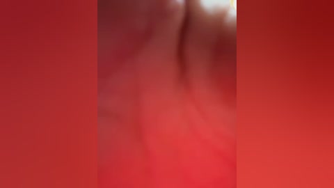 Media: A blurry, abstract video featuring a gradient of red hues with indistinct shapes and textures, creating a visually engaging, yet indeterminate composition.