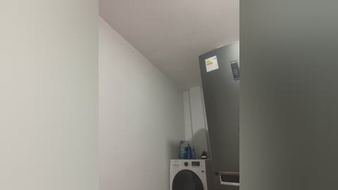 Media: A video of a small, dimly lit laundry room with a white washing machine, two blue bottles of detergent, and a grey refrigerator on the right. The walls are light grey, creating a minimalist, utilitarian atmosphere.