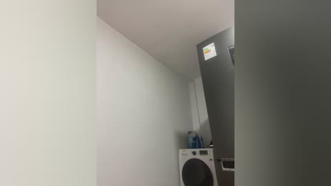 Media: Video of a small, narrow laundry room with white walls, a gray cabinet, a white washing machine, a blue water bottle, and a small window with a bright light.