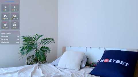 Media: Video of a minimalist bedroom featuring a bed with light beige bedding, a dark blue pillow with \"MOSTBET\" text, and a green potted plant. A weather chart is displayed on the wall.