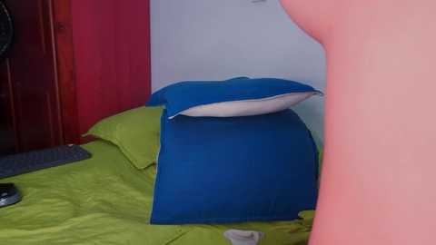 Media: Video of a blue pillow leaning against a wall in a dimly lit room with a green bedspread, a red door, and a dark object on the floor.