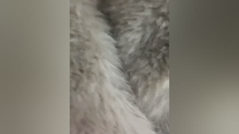 Media: Video of a fluffy, white fur texture resembling a blanket or fabric, with a blurred, muted gray background. The texture is soft and voluminous, creating a cozy, warm ambiance.