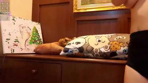 Media: Video of a sleeping cat on a wooden bench with a decorative pillow featuring cartoon dog faces. The background shows a wooden door and a window frame.