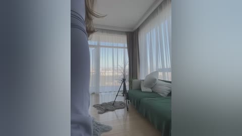 Media: Video of a modern, minimalist bedroom with light wood floors, sheer white curtains, a green sofa, a tripod, and a fluffy rug.