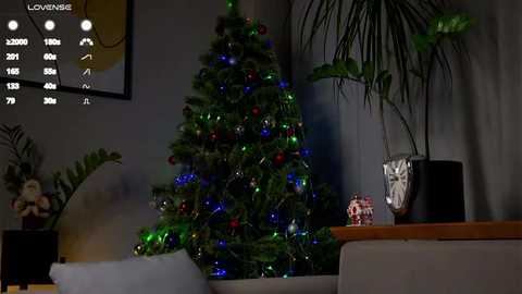 Media: Video of a cozy living room with a Christmas tree adorned with multicolored lights, framed by a potted palm and other greenery, with a TV displaying a camera view.