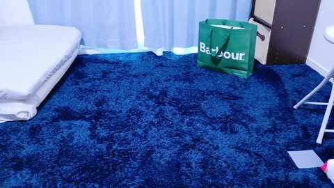 Media: Video of a simple hotel room with a white bed, blue carpet, green \"Be Young\" bag, and white curtains.