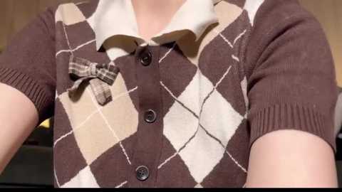 Media: Video of a person's chest, wearing a brown, diamond-patterned sweater with a white collar, a brown button-up, and a plaid bow tie, set against a blurred, neutral background.