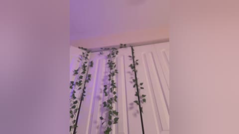 Media: A video of a white door adorned with green ivy vines, creating a whimsical, nature-inspired decor. The soft purple lighting enhances the tranquil ambiance of the indoor scene.