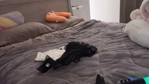 Media: Video of a messy bedroom with a beige bedspread, black and white lingerie on the floor, plush toys on the bed, and a gaming controller.