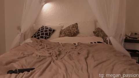 A video of a cozy bedroom with a white canopy bed, beige bedspread, leopard print pillows, and a black remote on the bed.