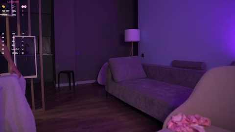 Media: Video of a dimly lit modern living room with a grey chaise lounge, a white lamp, and a black stool; a person is partially visible in the background.