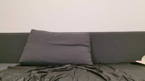 Video of a minimalist, dark gray fabric couch with a single, large, dark gray pillow against a plain, light gray wall. The couch has a wrinkled, black plastic sheet draped over it.