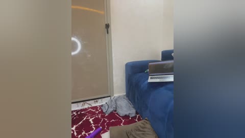 Media: A video showing a messy room with a blue sofa, a red and white patterned rug, a white lamp, and a partially open sliding door with a circular light reflection.