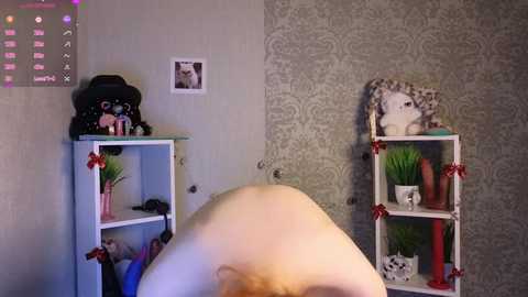 Video of a room with a white massage table, light gray wallpaper, and white shelves decorated with plants and figurines.