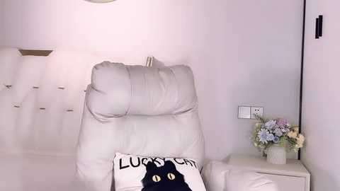 Media: Video of a modern, minimalist bedroom with a white, tufted leather recliner, a floral arrangement on a white nightstand, and a decorative pillow featuring a black cat design.