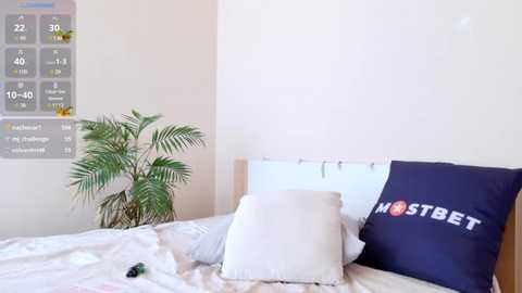 Video of a minimalist bedroom with a white wall, a large green potted plant, a wooden headboard, a white pillow, and a navy pillow with \"OSTBET\" text.