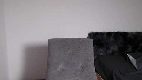 Media: Video of a modern bedroom with a gray, tufted headboard against a white wall. The bed has a dark gray, textured duvet cover and a fluffy, black throw pillow. The scene is minimalistic and sleek.