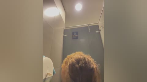 Media: A video of a woman with long, curly brown hair in a public restroom stall. The stall has beige walls and a blue ceiling with a single light fixture. A white towel hangs on the left.