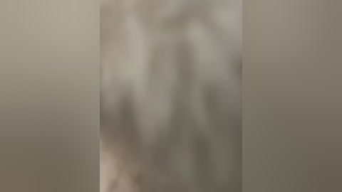 Media: A blurred video depicting two indistinct figures in a dimly lit, beige-toned room, with indiscernible details due to the lack of clarity.