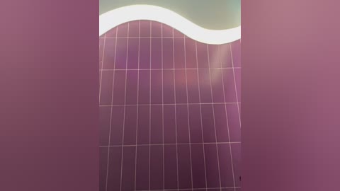 Video of a tiled shower wall with a smooth, glossy finish, featuring a white wavy line at the top, and rows of purple tiles with vertical white lines.