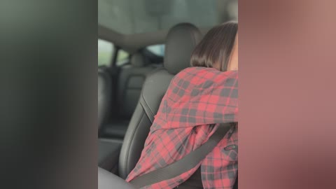 Media: Video of a person in a car, wearing a red plaid shirt and a seatbelt, with blurred background.