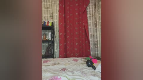 Media: A video of a cluttered bedroom with a bed covered in a floral-patterned duvet, a red curtain with floral designs, a black bookshelf, and colorful toy figures on top.