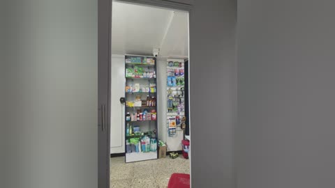 Media: A video of a narrow hallway leading to a well-stocked medicine cabinet filled with various over-the-counter drugs and toiletries, with a speckled beige floor and grey walls.