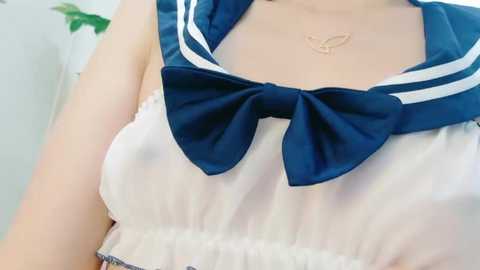 Media: A video of a woman wearing a sheer, white blouse with a large, navy blue bow and sailor collar, adorned with a delicate gold butterfly necklace.