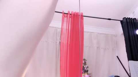 Media: Video of a bright, spacious room with a pink curtain hanging from a metal rod, partially covering a white wall. The room features soft, natural lighting and a hint of a floral arrangement in the background.