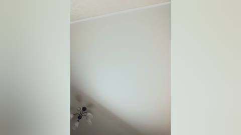 Media: Video of a minimalist ceiling corner, featuring a white ceiling with a soft light fixture and a decorative element resembling a flower. The scene is serene and simple.