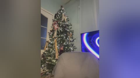 Media: Video of a cozy living room with a decorated Christmas tree adorned with ornaments, a yellow ribbon, and a Santa Claus figurine. A television displaying a blue and white circular pattern is visible in the background.