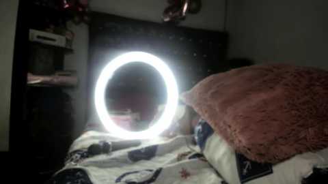 Media: Video of a dimly lit bedroom with a round, bright mirror light illuminating a plush, pink pillow on a bed covered with a white quilt featuring floral patterns. The background includes a dark, tufted headboard and a shelf with various items.