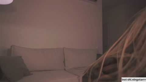 Media: A dimly lit video of a beige sofa in a sparsely furnished room, with a person's long, blonde hair visible in the foreground.