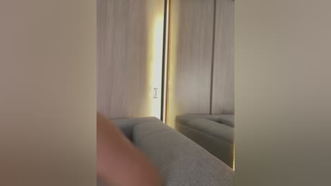 A video of a modern, minimalist bedroom with beige walls, a grey upholstered bed, and mirrored closet doors reflecting the room's soft lighting.