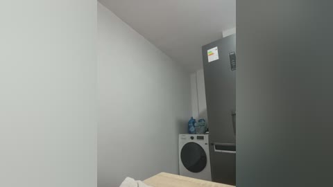 Media: A video of a small, sparsely furnished laundry room with white walls, a white washing machine, a blue water bottle, and a gray refrigerator.