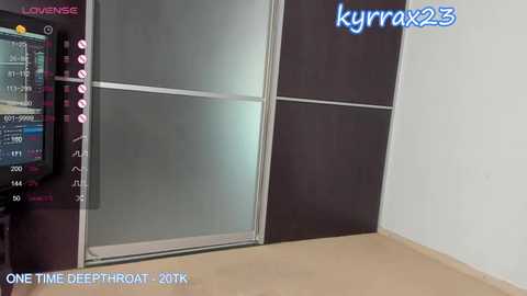 Media: Video of a modern, dimly lit room featuring a large sliding glass door with frosted glass panels. The door is framed by sleek wooden panels. A \"LOVE\" sign and \"kyrrox23\" watermark are visible.