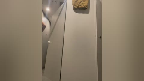 Media: A video of a narrow, beige hallway with a mirror on the left reflecting a blurry figure in a white shirt and light-colored pants. A beige towel hangs on a door handle.