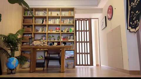 Video of a cozy, organized room with wooden bookshelves filled with books and decor, a wooden table with a teddy bear, a black chair, and a large potted plant.