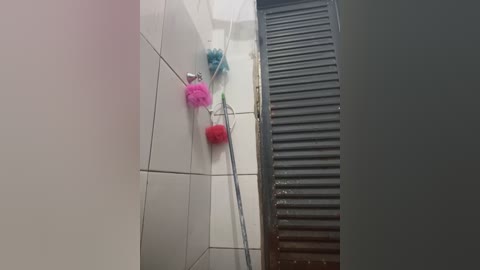 Media: Video of a bathroom with white tiled walls and a gray, ribbed radiator on the right. A broom with pink and blue fluffy dusters hangs on the wall.