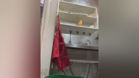 A video of a minimalist, modern kitchen sink area. A red apron hangs on the wall, and a silver sink sits under a white shelf with neatly stacked items. The walls are plain, and a green trash can is in the foreground.