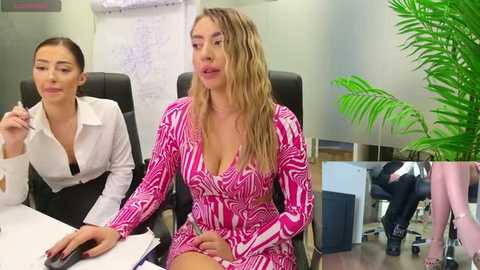 Media: Video of two women in a modern office: one in a white shirt, the other in a pink zebra-pattern dress.