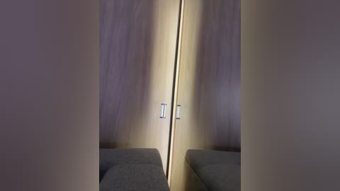 Video of a modern, minimalist room with a dark grey sectional couch and a narrow, vertical wooden panel door with a silver handle, lit from the top by a single, bright light.