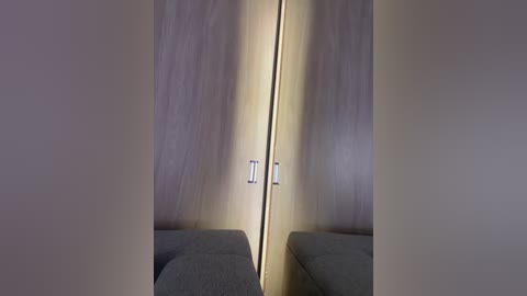 Video of a modern, minimalist bedroom with a narrow, vertical wooden wardrobe featuring light-colored doors and silver handles. The background is a neutral, beige wall, and a gray fabric sofa is visible at the bottom.