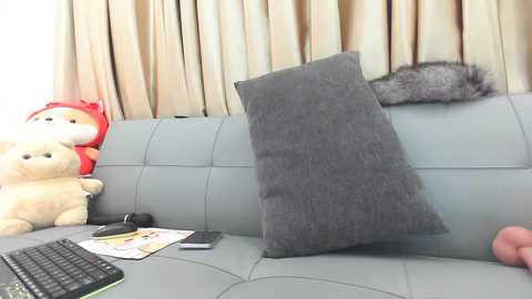 Video of a modern living room with a gray leather couch, a plush red teddy bear, and a gray throw pillow. Background features beige curtains and a gray blanket draped over the couch. A person's hand rests on the couch.