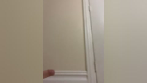 Media: A blurred video of a beige wall with a white door frame, featuring a hand on the left side. The image is slightly out of focus, making details indistinct.