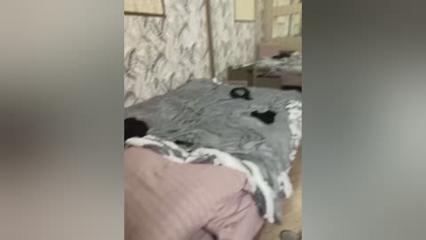 Video of a messy bedroom with a gray blanket, black shoes, and a pink bedspread. Wallpaper features a floral pattern.