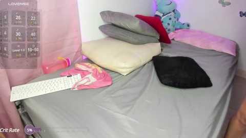 Media: A video of a messy bedroom with a bed covered in grey and pink sheets, a stuffed blue bear, a pink teddy bear, and a black shirt.