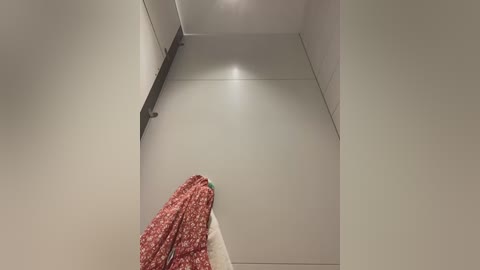 Media: A video of a modern, empty hallway with smooth, light gray walls and a single towel hanging on a dark metal hook. The towel has a red floral pattern.