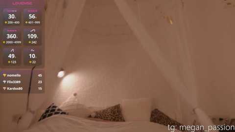 Media: Video of a cozy, dimly lit bedroom with a white canopy bed, white linens, leopard-print pillows, and a small, white lamp. The left side features a digital display with various stats.