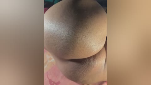 Media: Video of a close-up view of a woman's buttocks, showcasing smooth, light brown skin with visible pores. The background is blurred, featuring a pink fabric and a green object, possibly a plant or piece of clothing.